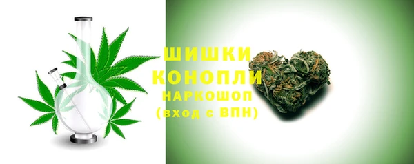 крисы Бугульма