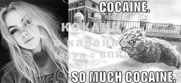 крисы Верея