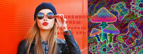 крисы Бугульма