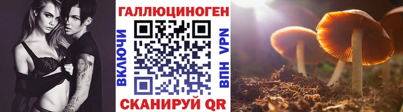 Купить где  Малгобек  Галлюциногенные грибы мицелий 